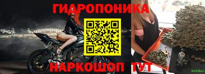 прущие грибы Гусь-Хрустальный