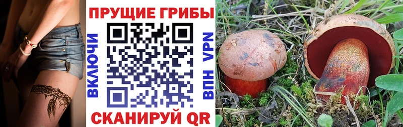 Галлюциногенные грибы MAGIC MUSHROOMS  как найти закладки  Ленинск-Кузнецкий 