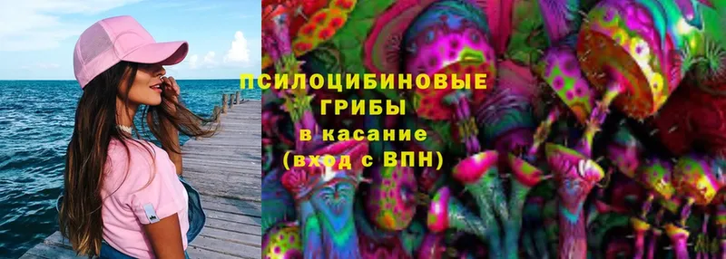 Псилоцибиновые грибы Magic Shrooms  купить закладку  Ленинск-Кузнецкий 