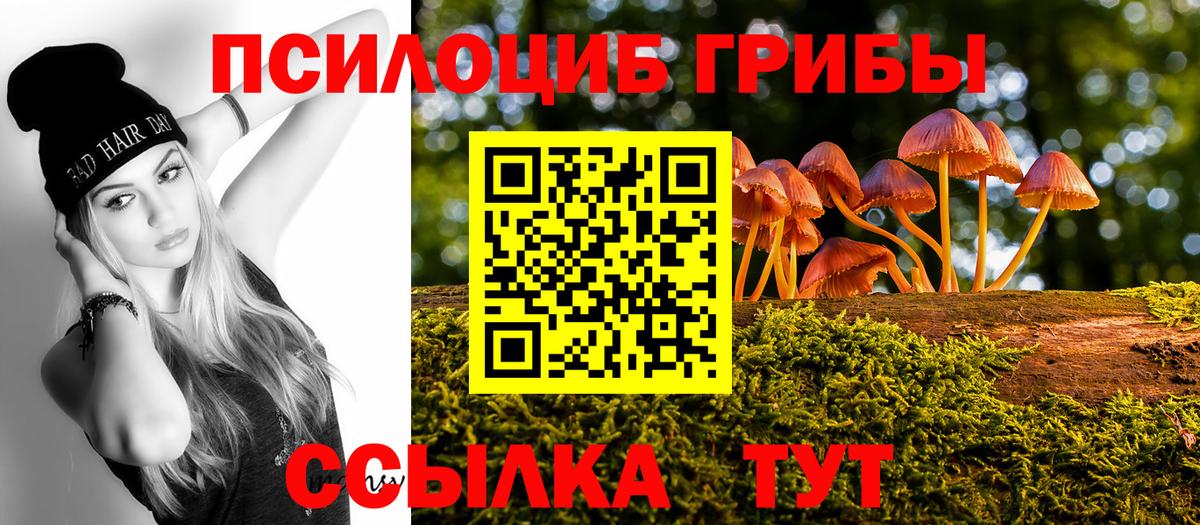 Галлюциногенные грибы ЛСД Ленинск-Кузнецкий